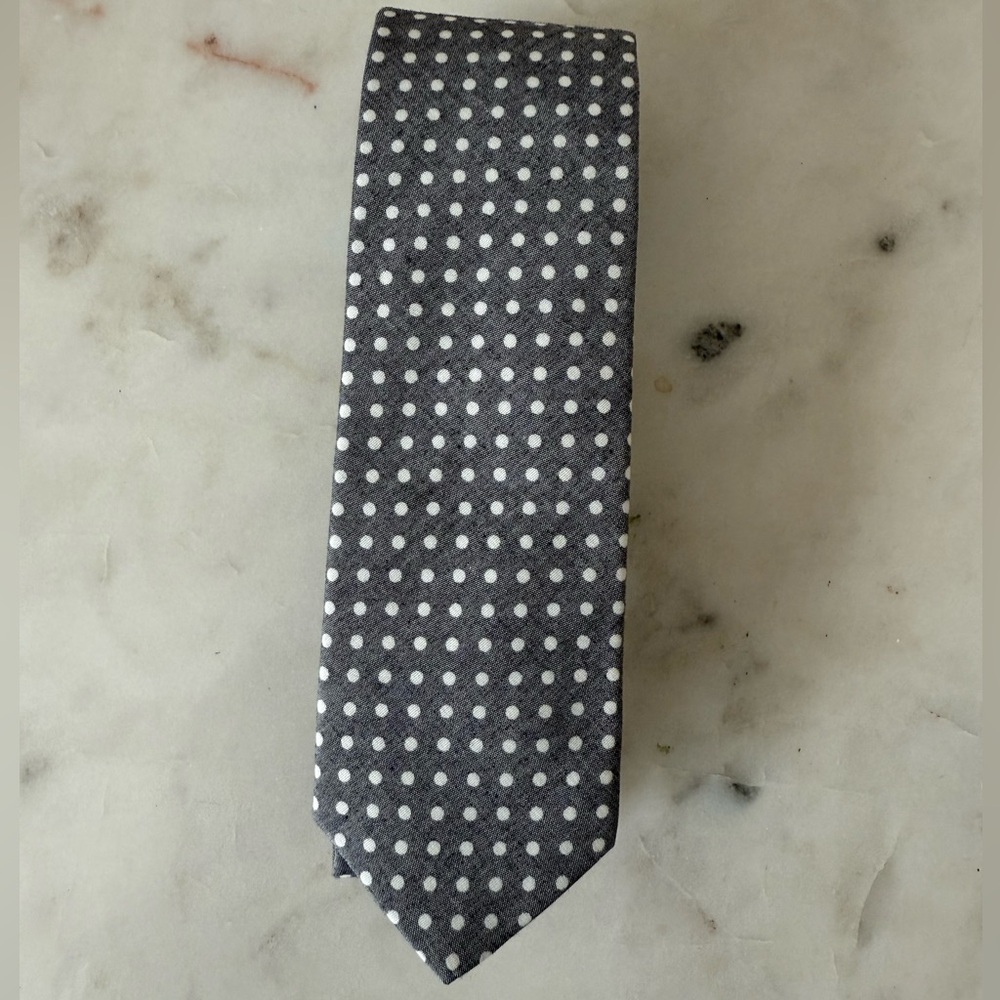 Gray Polka Dot Men's Tie